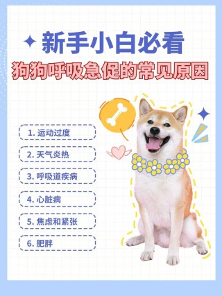 狗狗气喘是怎么回事，狗狗气喘吁吁什么情况？