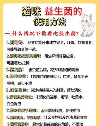 猫咪怀孕能吃益生菌吗？猫咪孕期能吃益生菌吗（最新）