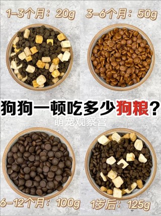 三个月狗狗吃多少狗粮？三个月狗狗吃狗粮后多久排便（最新）