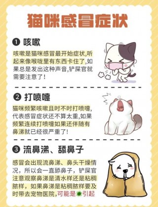 猫咪感冒能自愈吗？猫咪着凉的症状（最新）