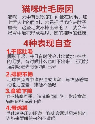 猫咪怎么吐毛球，猫咪吐毛球一般吐几天属于正常？