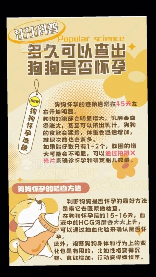 孕妇可以抱狗狗吗？孕妇能抱宠物狗吗（最新）