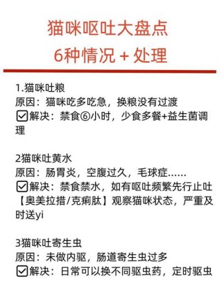猫咪吃什么都吐怎么办，（猫咪吃什么都呕吐）