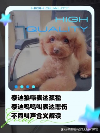 狗狗几个月会叫，小狗几个月会叫汪汪？