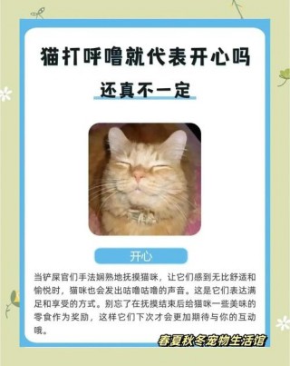 猫咪发出咕噜咕噜的声音，猫咪发出咕噜咕噜的声音对人有什么好处？