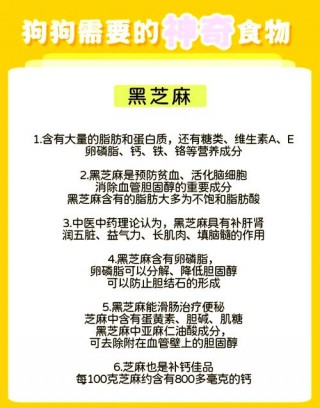 狗狗能吃芝麻吗？狗狗能吃芝麻吗会死吗（最新）