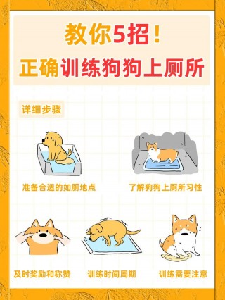 如何教狗狗大小便？如何教狗狗大小便视频（最新）
