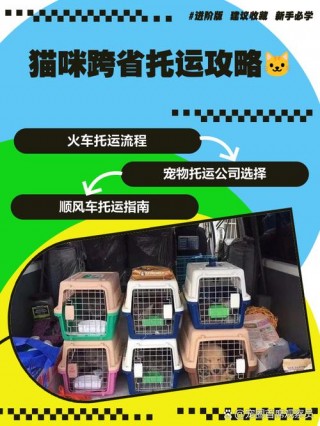 猫咪可以带上火车吗？猫咪是否可以带上火车（最新）