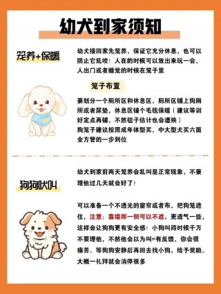 怎么检测狗狗是否健康，怎么检测狗狗是否健康状态？