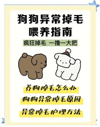 怎么让狗狗不掉毛，（怎么样才能让狗不掉毛）