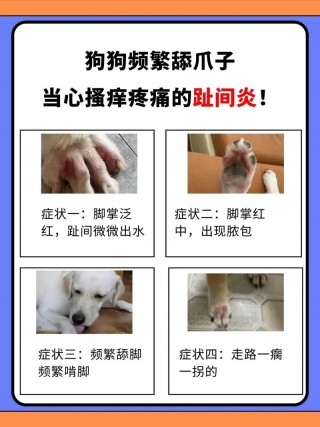 狗狗挠痒痒正常吗，（狗狗挠痒痒正常吗视频）