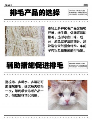 猫咪吃蛋黄可以化毛吗，宠物猫吃蛋黄？