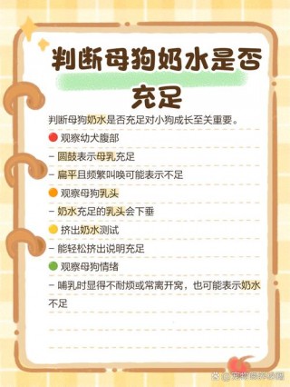 狗狗不下奶怎么办，狗不产奶是什么原因？