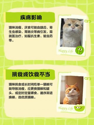 猫咪不长肉怎么回事，猫咪不爱长肉怎么办？