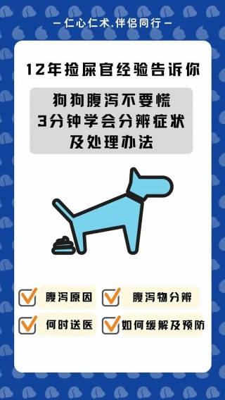 狗狗拉肚子不吃饭怎么办，（狗狗拉肚子不吃饭怎么办?）