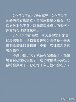 猫咪吃多了会怎么样，猫咪吃多了有什么表现？