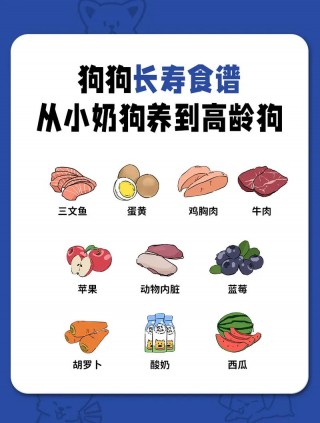 狗狗感冒发烧吃什么药，（狗狗感冒发烧吃什么药比较好）