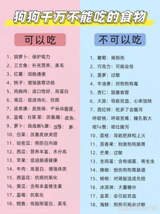 狗狗怀孕不能吃什么，（怀孕母狗吃什么营养好）