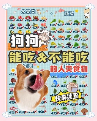 狗狗能吃人的益生菌吗，狗狗能吃人的益生菌吗?？