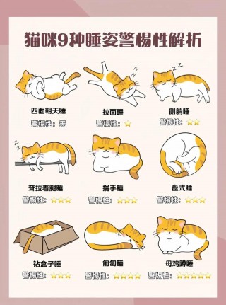 怎么让猫咪睡觉，怎样让猫咪睡着？