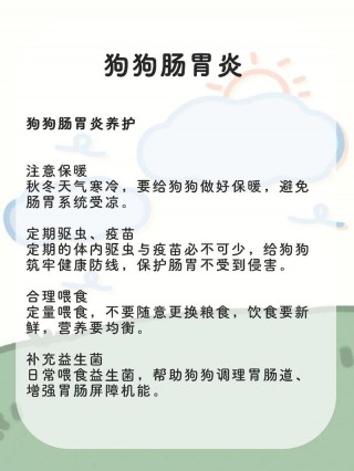狗狗肠炎怎么治？狗狗肠炎怎么治好,几天能好（最新）