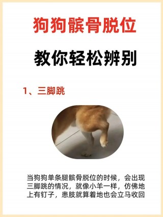 怎么判断狗狗髌骨脱位，（怎么判断狗狗髌骨脱位了）