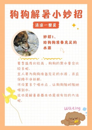 夏天狗狗怎么避暑？狗狗夏天怎么度过（最新）