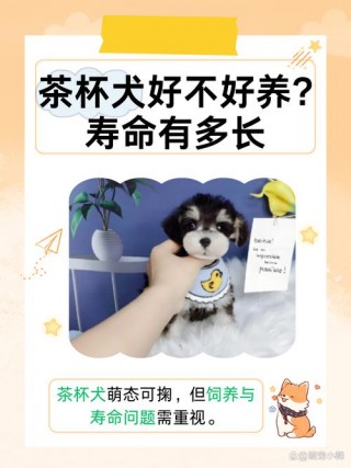 狗狗能喝茶叶水吗，（狗可以喝茶叶茶吗）