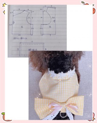 狗狗伸缩牵引绳怎么修？狗狗伸缩牵引绳怎么修理（最新）