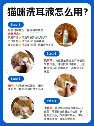 猫咪耳朵里有水？猫咪耳朵里有水状或脓状的分泌物可以用碘伏吗（最新）