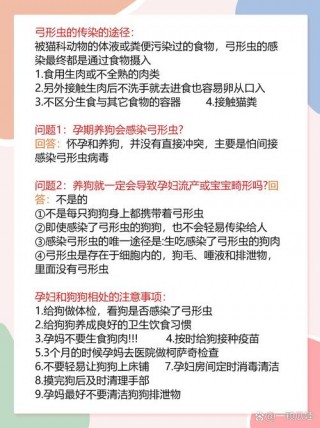 怀孕养狗狗注意事项，（怀孕后养狗需要注意什么）