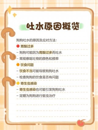 狗狗拉水是怎么回事，（狗狗拉水是什么原因）