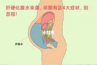 狗狗肝腹水症状，（狗狗肝腹水还有救吗）