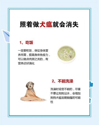狗狗得犬瘟怎么治疗，狗狗得犬瘟怎么治疗比较好？