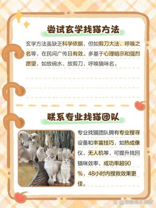 猫咪找不到了怎么办，猫找不到了有什么办法？