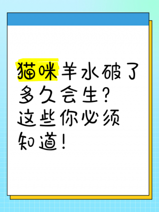 猫咪羊水破了多久会生，（猫咪羊水破了多长时间生）