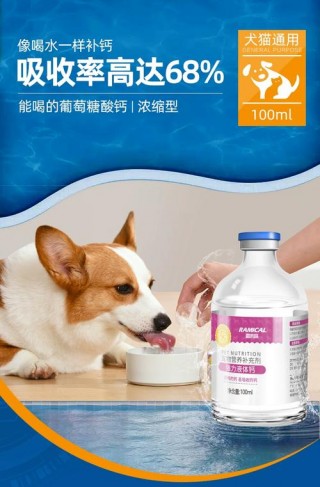 狗狗产后补钙吃什么好，狗狗产后补钙过量的症状？