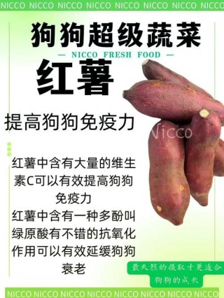 狗狗能吃生红薯吗，狗狗能吃生红薯吗会中毒吗？