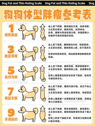 狗狗多大不长个子，（狗狗多大不长体重了）