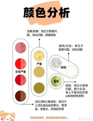 猫咪吐白沫不吃东西，（猫咪吐白沫不吃东西怎么回事）