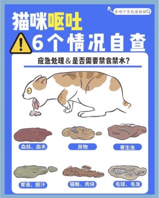 猫咪呕吐拉稀没精神，猫咪呕吐拉稀没精神走路摇晃怎么回事？