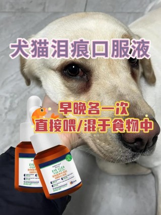 狗狗流眼泪用啥眼药水，狗狗流眼泪喝点什么消炎药？
