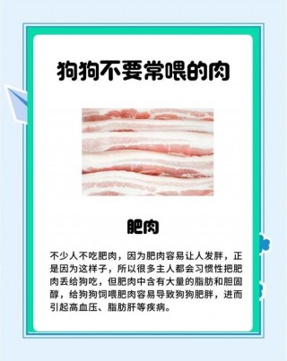 狗狗能吃肥肉吗？狗吃什么才能又胖又壮（最新）