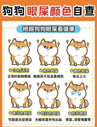 狗狗可以吃绿豆稀饭吗，（狗可以吃绿豆粥吗?）