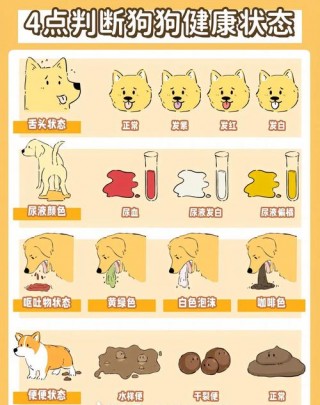 如何判断狗狗是否健康，（怎样看出狗狗是否健康）