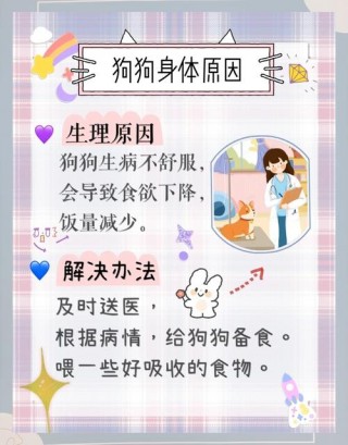 狗狗不喜欢吃饭怎么办？狗不爱吃饭是什么原因（最新）