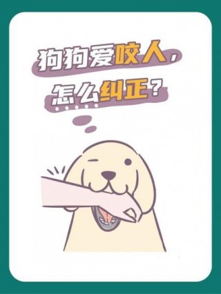 狗狗会咬人怎么办，狗狗会咬人怎么办视频？