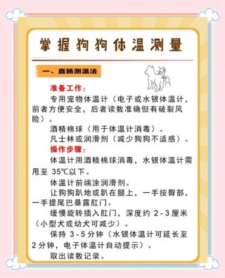 给狗狗量体温怎么量，给狗狗量体温怎么量放在哪儿,人的体温计可以用吗？