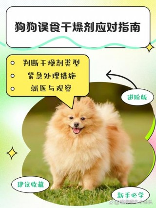 狗狗能吃羊油吗？狗可以吃羊油下奶吗（最新）