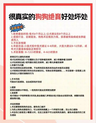 狗狗绝育到底好不好，（狗狗绝育手术好不好）